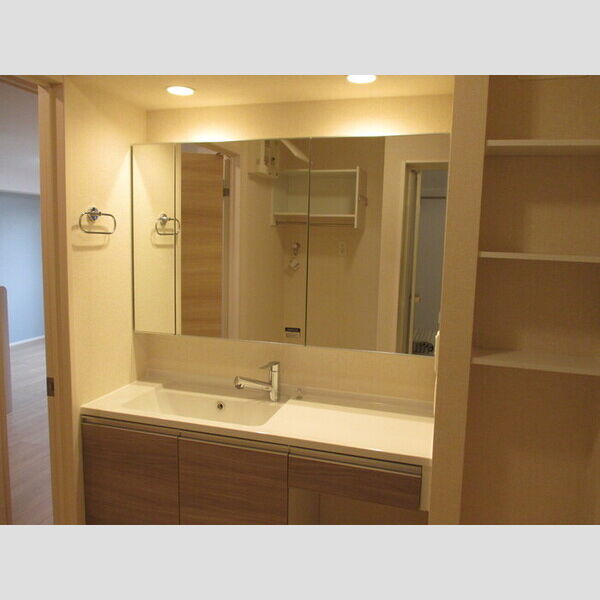 ポテトドゥーエ203号室 洗髪洗面化粧台