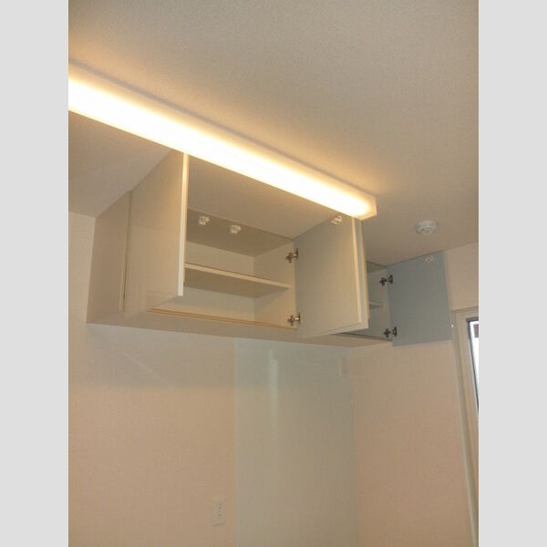 ラヴィタ　壱番館201号室 キッチン上部収納