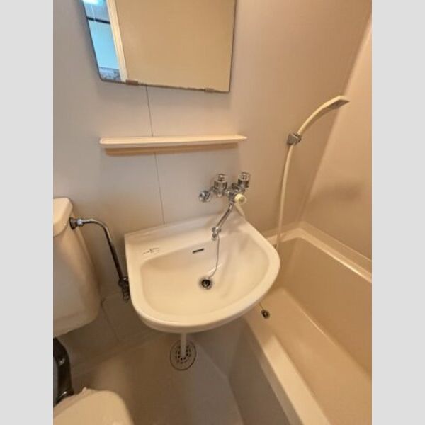 シャトレーヌ柏103号室 洗面所