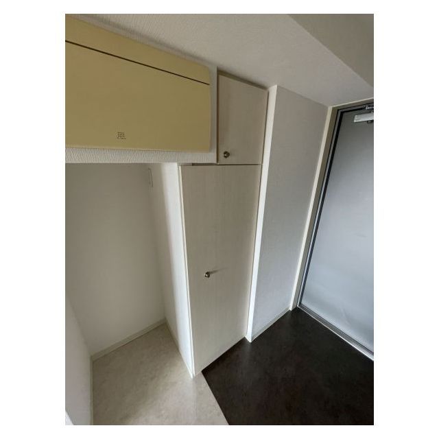 メゾン・ド・ヴィレ麻布台1406号室 シューズボックス