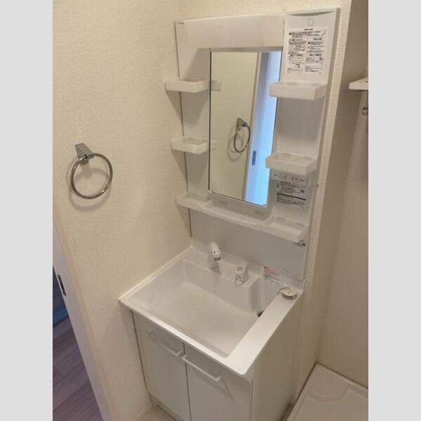 セジュール西台4301号室 洗面化粧台