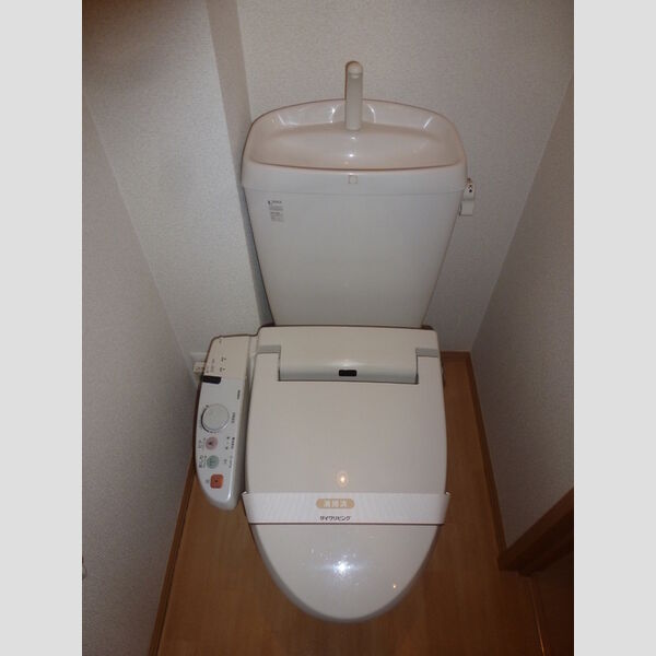 ルミエール(毛呂山) トイレ