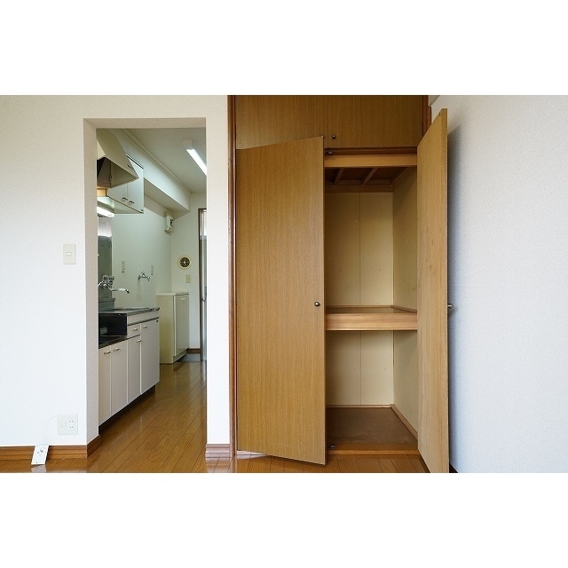 メゾン宮下0202号室 居室収納
