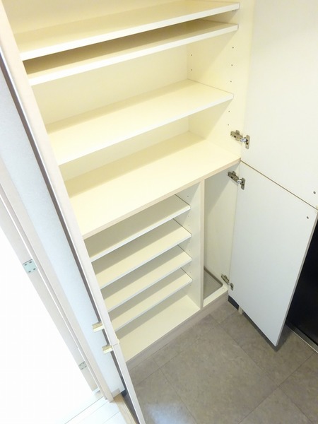 ＲＥＶ・ＣＬＯＳＥ802号室 収納