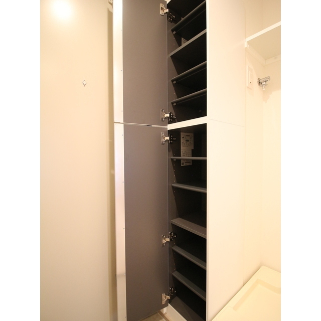 エクセラン旭町205号室 シューズボックス