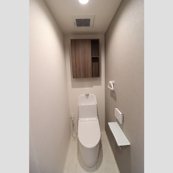 Noble villa浦和美園302号室 トイレ