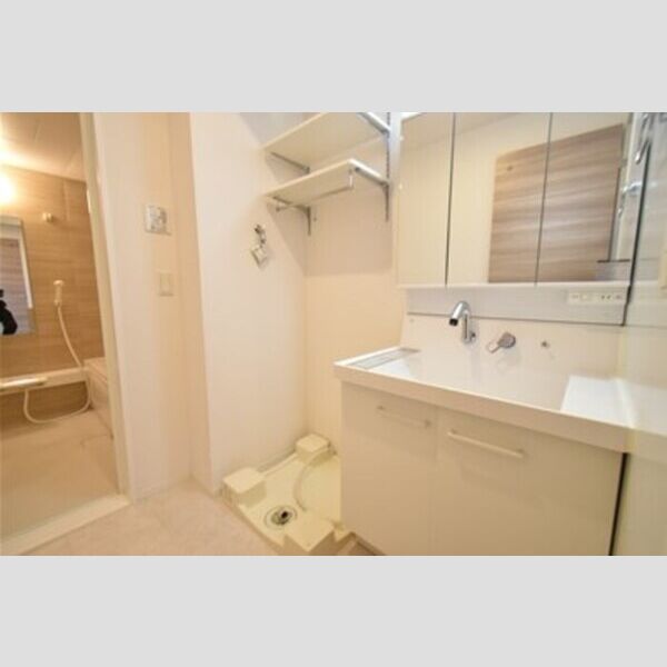 アーバンコートツマダ103号室 洗面室