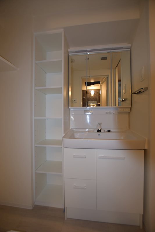 ライトテラス押上2階 洗面