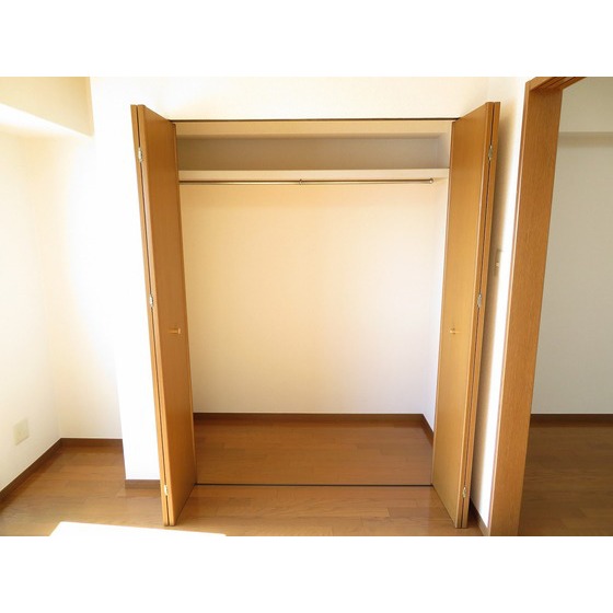 ＹＡＹＯＩ　ＣＯＵＲＴ0901号室 洋室収納