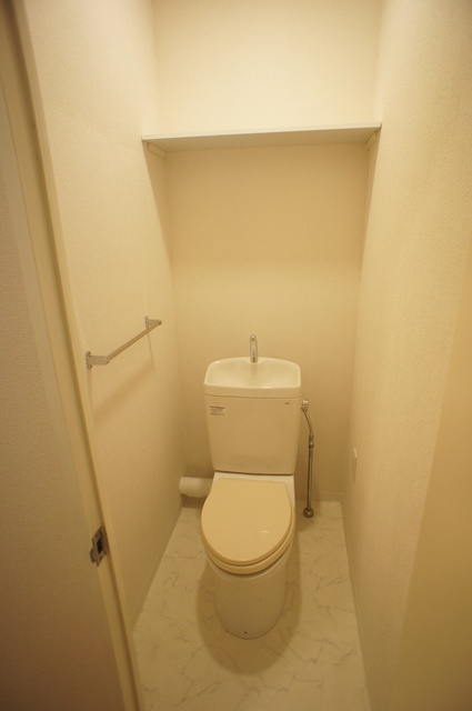 エクセルＤハイム0104号室 トイレ