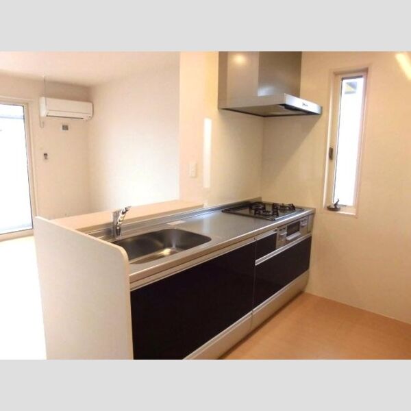 リアルコート D 対面式システムキッチン