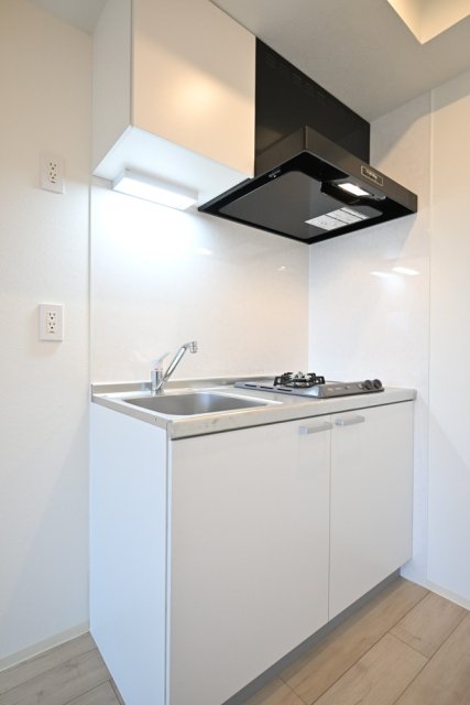 フェリデンシア御嶽山3階 システムキッチン（2口ガスコンロ）