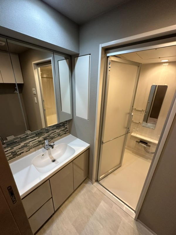 シーズンフラッツ両国サウス4階 洗面所