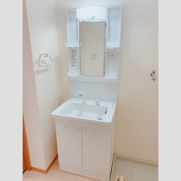 メゾンコリーヌ 洗面所