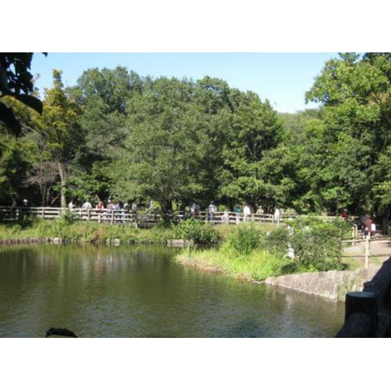 エステートピア・ｕ３号棟 三宝寺池