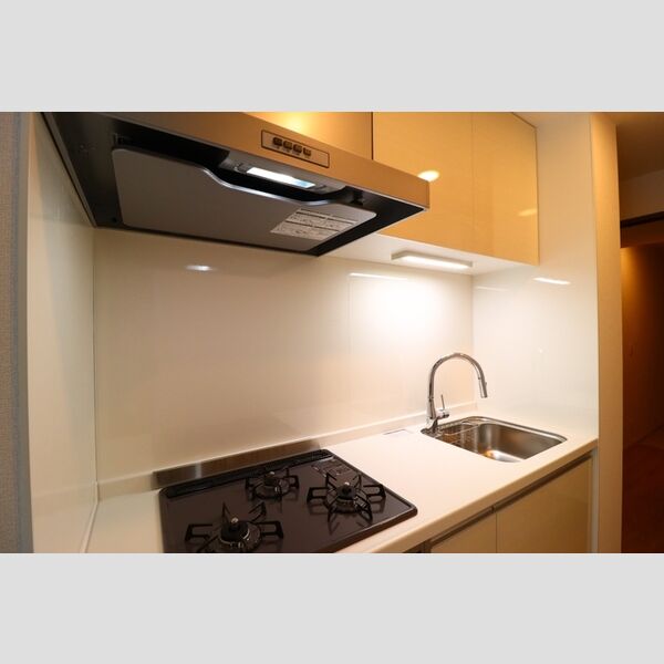グラナーデ新宿101号室 システムキッチン