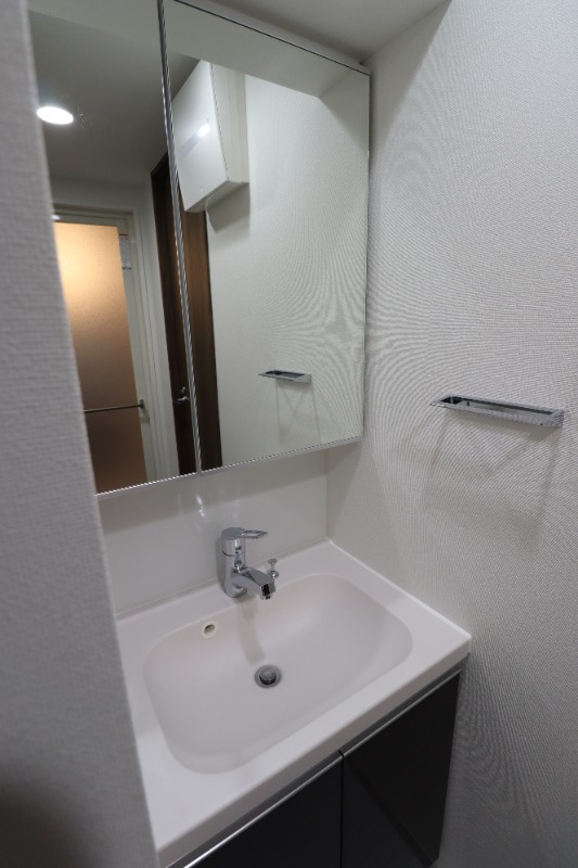 ジェノヴィア白糸台スカイガーデン5階 洗面