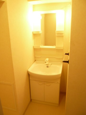 プレジールカネノ0207号室 洗面