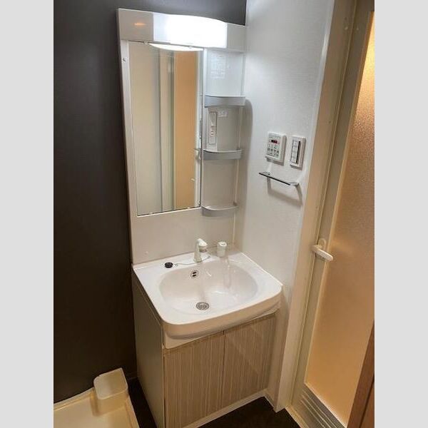 S-RESIDENCE両国avenue602号室 洗面