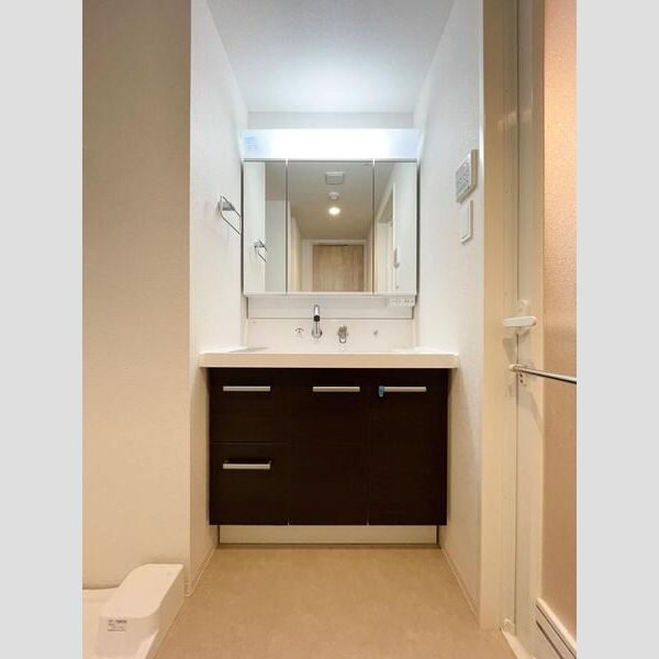 S-RESIDENCE富士見ヶ丘afford102号室 洗面