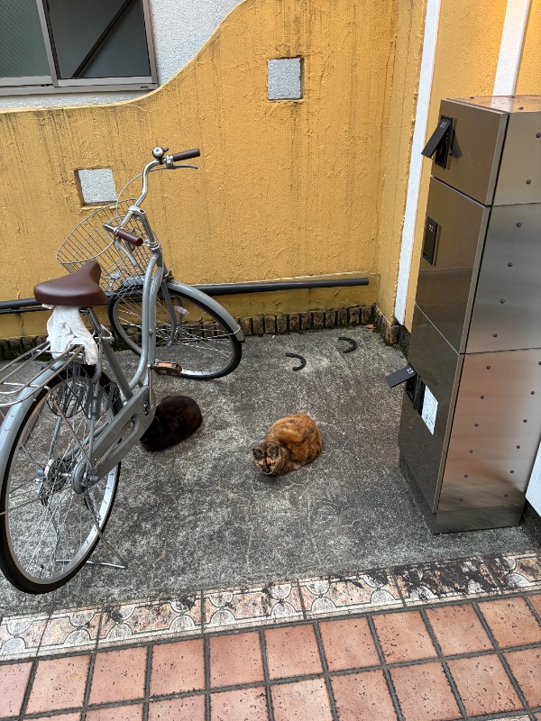 オッジ目黒本町3階 部屋その他