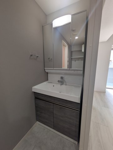 ジェノヴィア六町0101号室 洗面