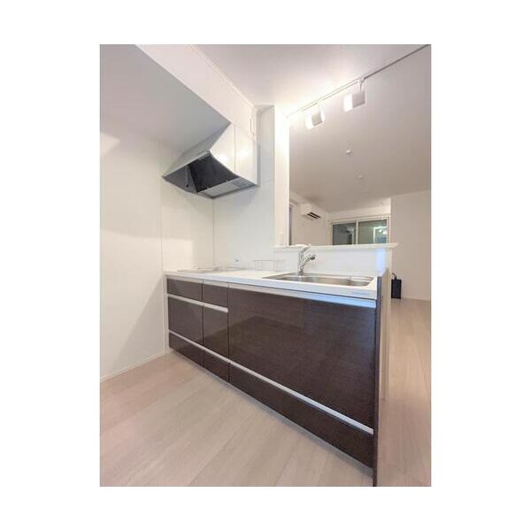 Raccolta南越谷101号室 キッチン