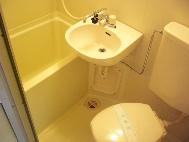 ミレ・関町0206号室 トイレ