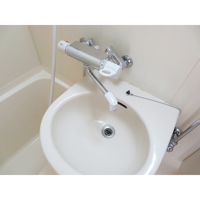 ダイヤモンドレジデンス南大塚0106号室 洗面台