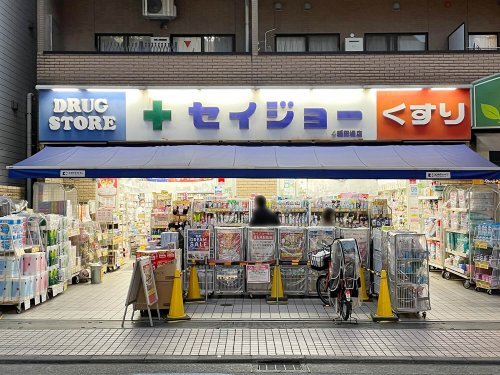 グリーンヴァレー稲田堤105号室 【ドラッグストア】くすりセイジョー 稲田堤店まで767ｍ