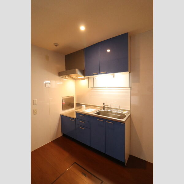 ロイヤルヒルズ武蔵浦和　B201号室 同建物別部屋の参考画像