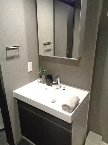 ザ・ライオンズフォーシア鶴見8階 洗面室