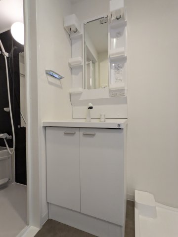 ケイディーエックスレジデンス原木中山0217号室 洗面