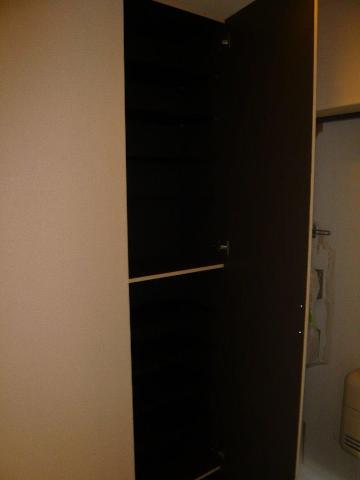 ルミナス高鼻202号室 廊下