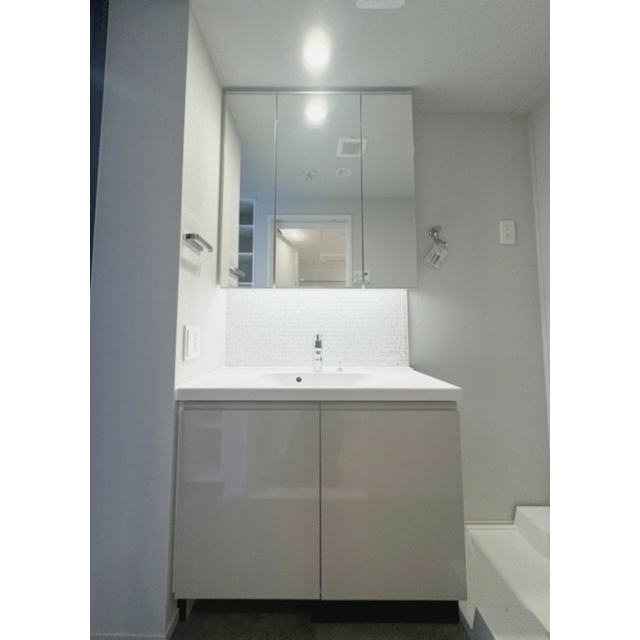 ACP Residence 新江古田0501号室 内観