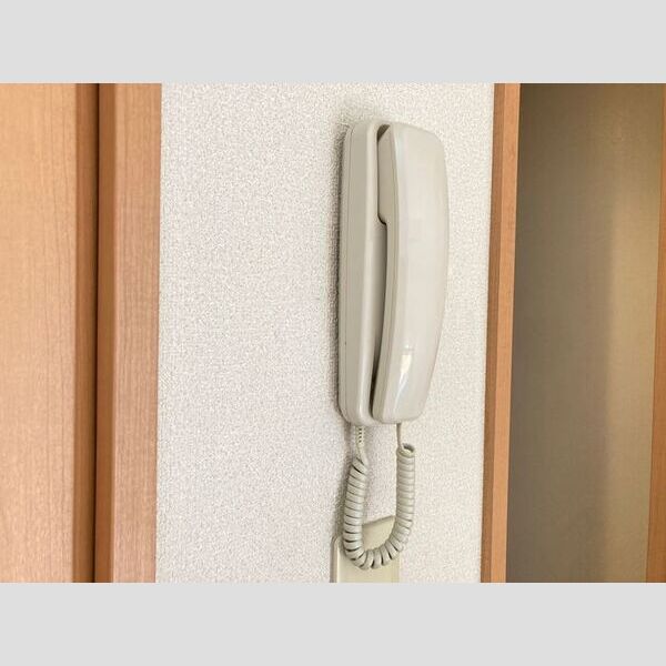 ジュネス陽光台　Ⅱ105号室 インターフォン