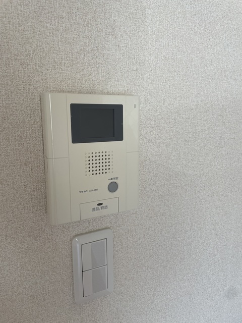 グリーンフラッツ0203号室 セキュリティ