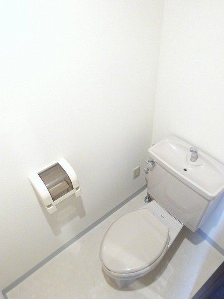 ラウム武蔵中原Ａ棟602号室 トイレ