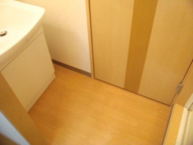 コンフォール・戸手301号室 脱衣所