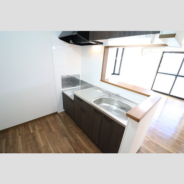 ルミナール・デュオ201号室 対面キッチン