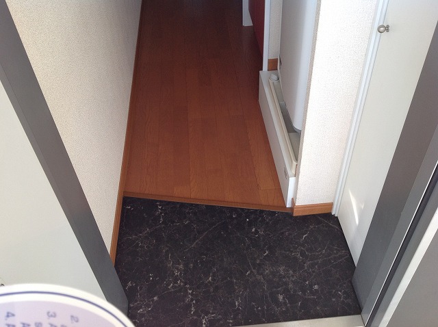 レオパレスコトブキ　Ｃ207号室 玄関