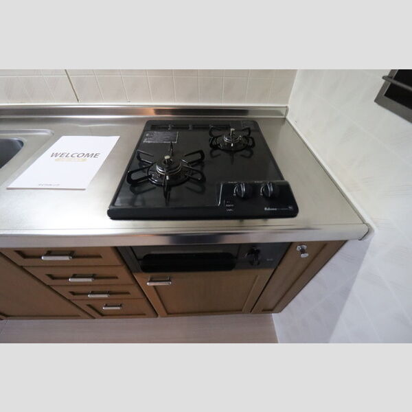 パレドリュンヌ システムキッチン