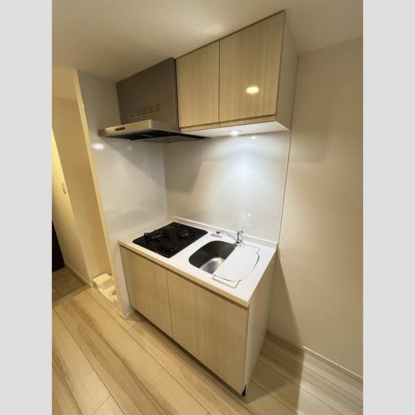 S-RESIDENCE板橋大山802号室 キッチン