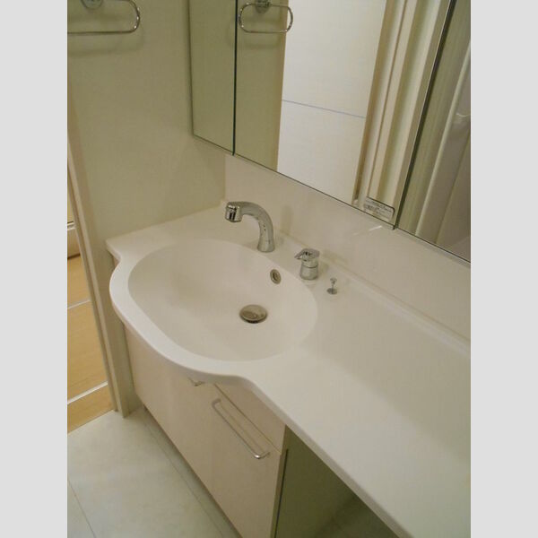 本郷の杜 ソグレ302号室 洗面所