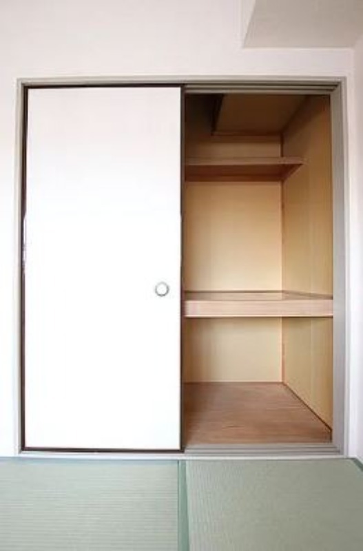 オリーブライト ※写真はイメージです