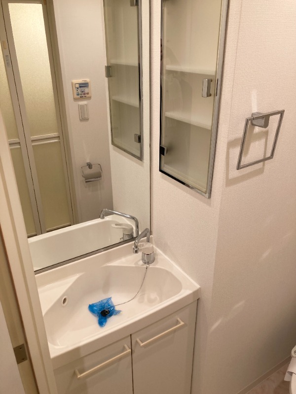 レジディア大森東7階 洗面