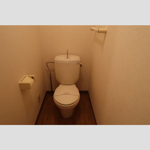 ボナール1996203号室 トイレ