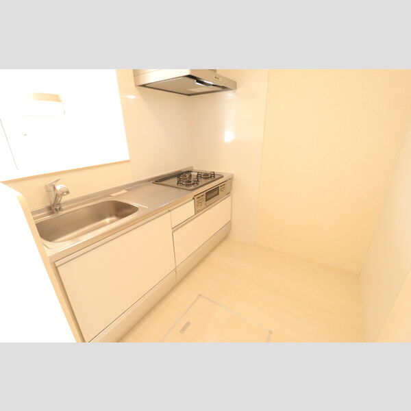 ロイジェントパークス レイクタウン Ⅲ　I システムキッチン