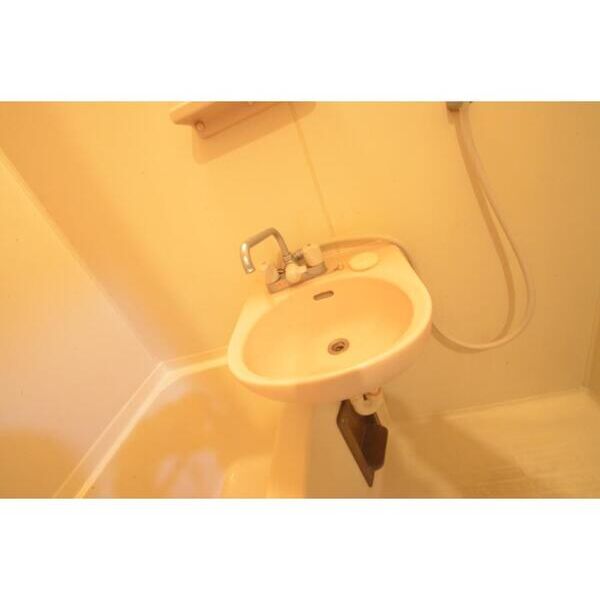 エステートピア堀内2103号室 洗面