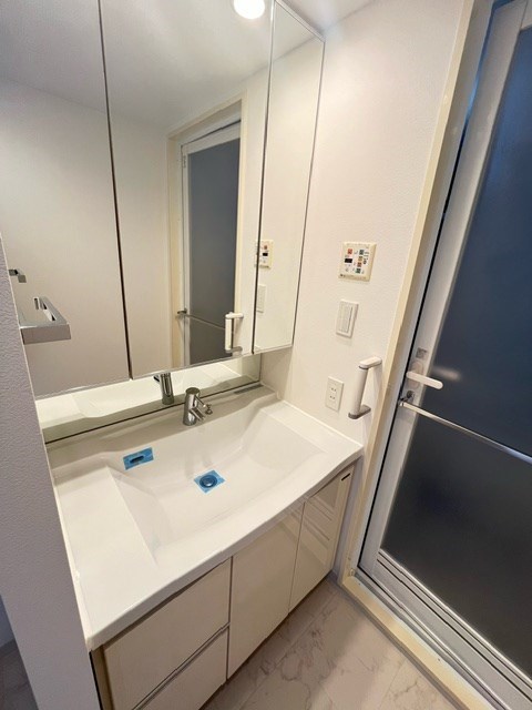 レジディアタワー上池袋（タワー棟）15階 洗面